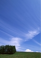 CK057.JPG