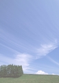 CK057.JPG